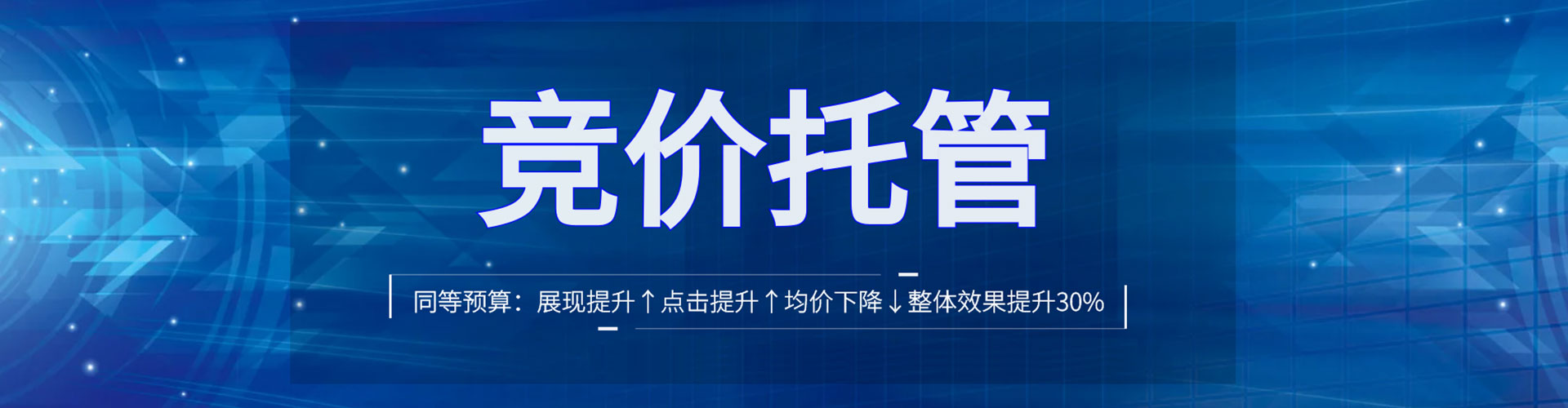 色尼竞价代运营